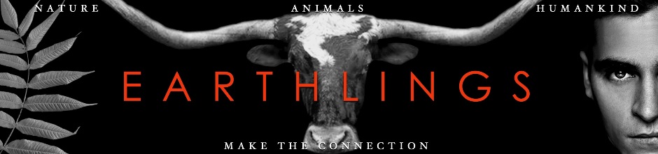 Earthlings - Make The Connection